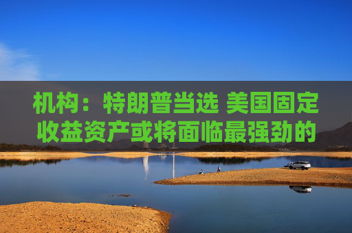 机构：特朗普当选 美国固定收益资产或将面临最强劲的阻力