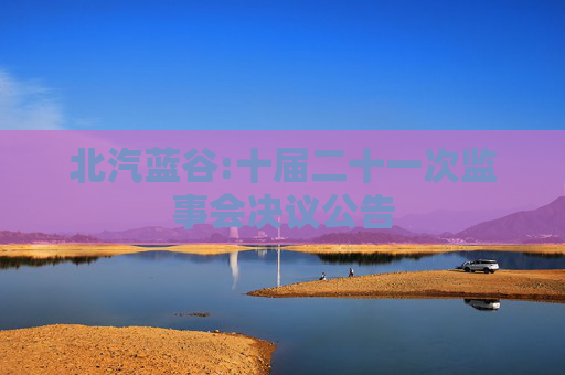 北汽蓝谷:十届二十一次监事会决议公告