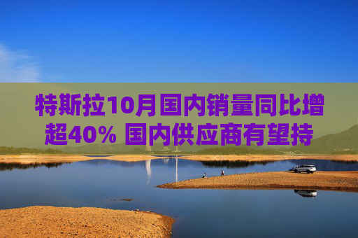特斯拉10月国内销量同比增超40% 国内供应商有望持续受益