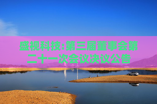 盛视科技:第三届董事会第二十一次会议决议公告
