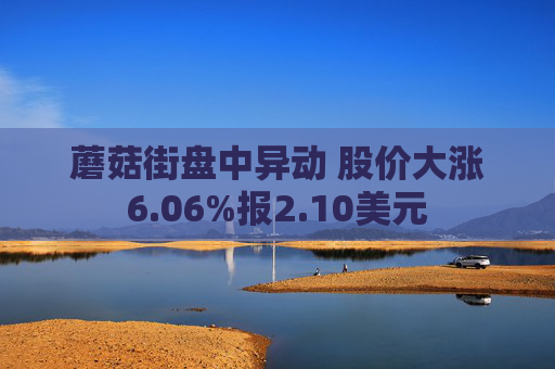 蘑菇街盘中异动 股价大涨6.06%报2.10美元