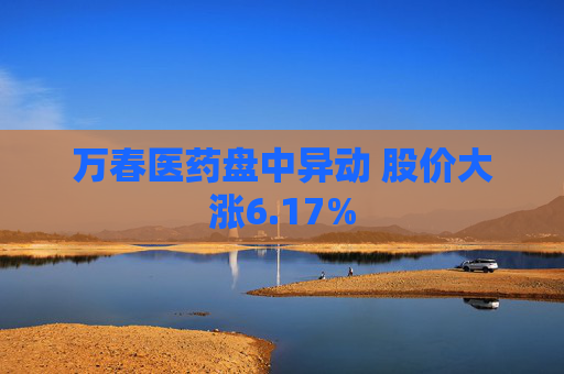 万春医药盘中异动 股价大涨6.17%