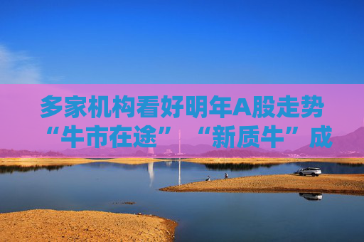 多家机构看好明年A股走势 “牛市在途” “新质牛”成关键词