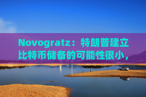 Novogratz：特朗普建立比特币储备的可能性很小，但如果成真，那50万美元见！