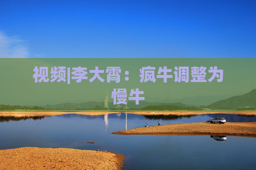 视频|李大霄：疯牛调整为慢牛
