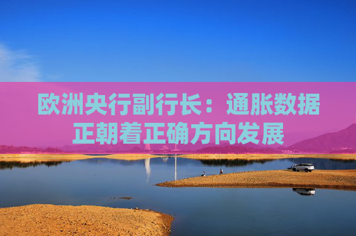 欧洲央行副行长：通胀数据正朝着正确方向发展