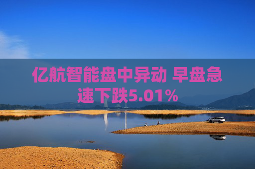 亿航智能盘中异动 早盘急速下跌5.01%