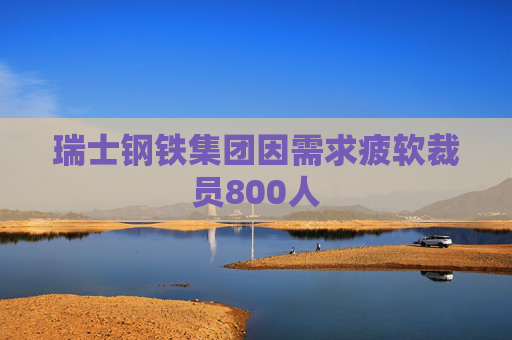 瑞士钢铁集团因需求疲软裁员800人