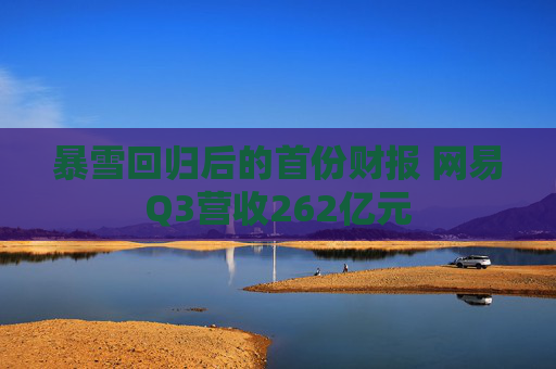 暴雪回归后的首份财报 网易Q3营收262亿元
