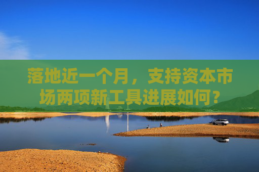 落地近一个月，支持资本市场两项新工具进展如何？