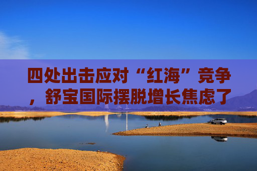四处出击应对“红海”竞争，舒宝国际摆脱增长焦虑了？