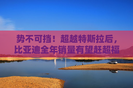 势不可挡！超越特斯拉后，比亚迪全年销量有望赶超福特