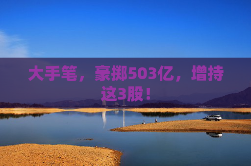 大手笔，豪掷503亿，增持这3股！