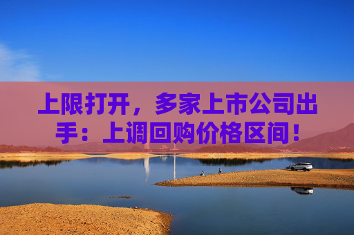 上限打开，多家上市公司出手：上调回购价格区间！