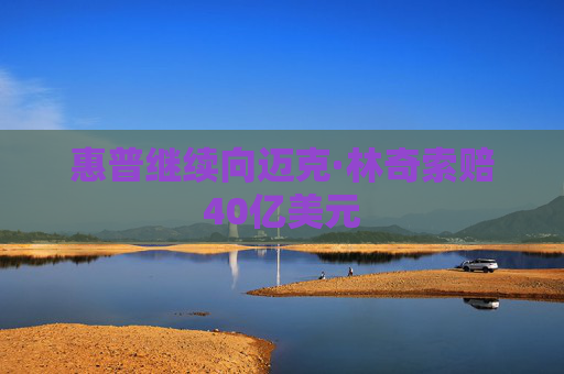 惠普继续向迈克·林奇索赔40亿美元