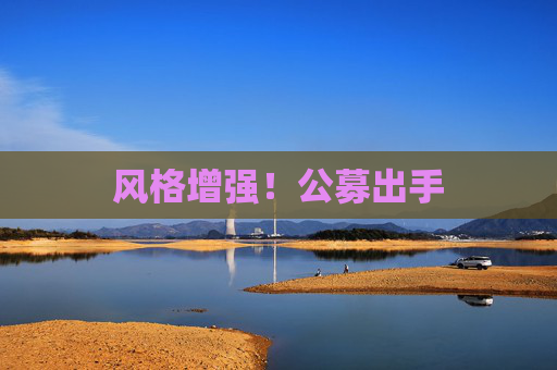 风格增强！公募出手