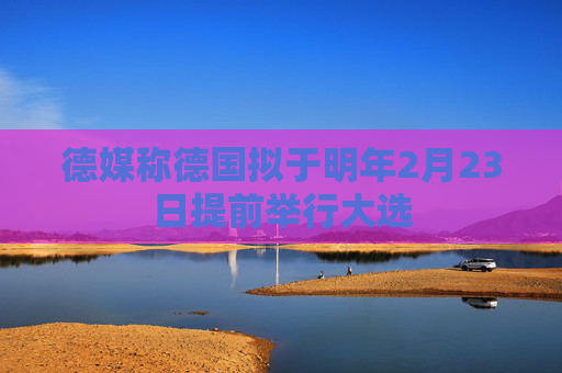 德媒称德国拟于明年2月23日提前举行大选