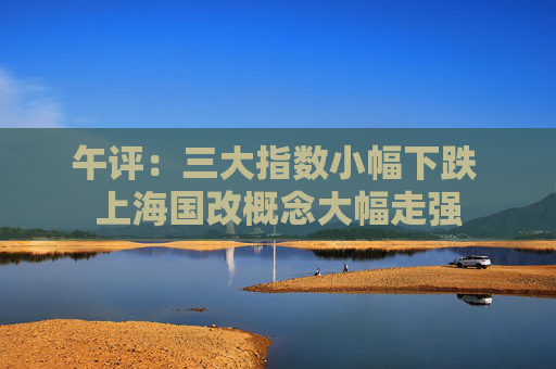 午评：三大指数小幅下跌 上海国改概念大幅走强