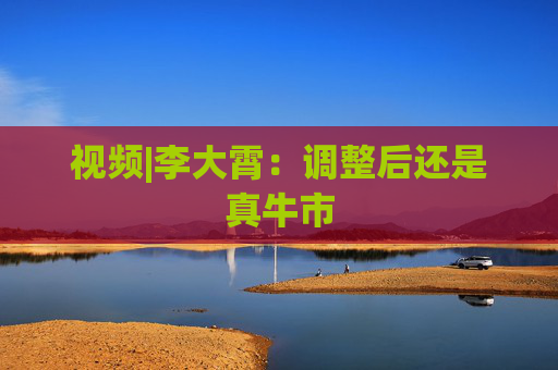 视频|李大霄：调整后还是真牛市