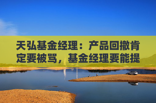 天弘基金经理：产品回撤肯定要被骂，基金经理要能提供情绪价值