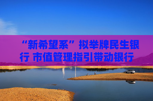 “新希望系”拟举牌民生银行 市值管理指引带动银行股成“香饽饽”？