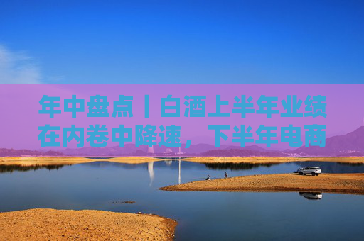 年中盘点｜白酒上半年业绩在内卷中降速，下半年电商低价冲击风险又冒头
