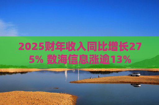 2025财年收入同比增长275% 数海信息涨逾13%