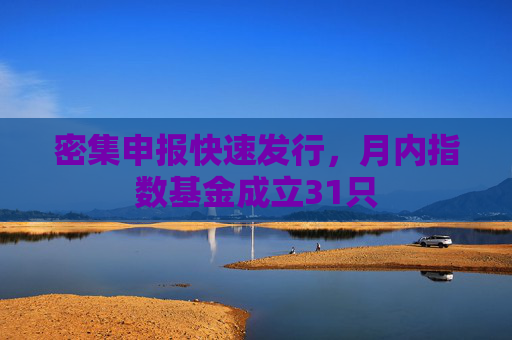 密集申报快速发行，月内指数基金成立31只