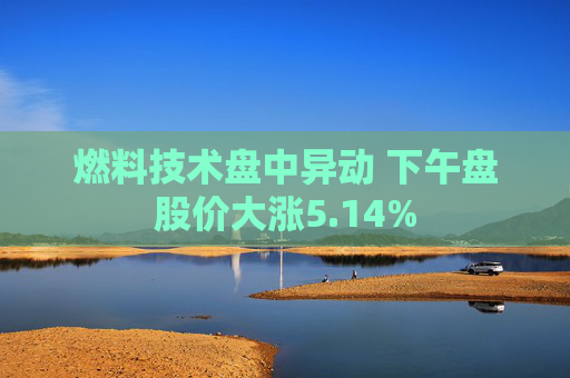 燃料技术盘中异动 下午盘股价大涨5.14%