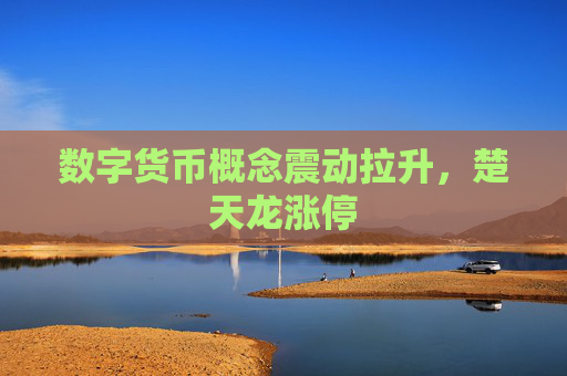 数字货币概念震动拉升，楚天龙涨停