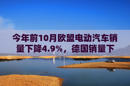 今年前10月欧盟电动汽车销量下降4.9%，德国销量下降近27%