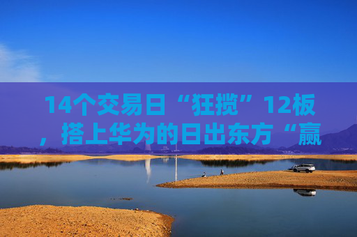 14个交易日“狂揽”12板，搭上华为的日出东方“赢麻了”