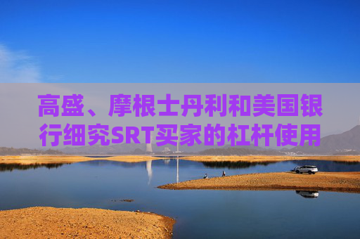 高盛、摩根士丹利和美国银行细究SRT买家的杠杆使用情况