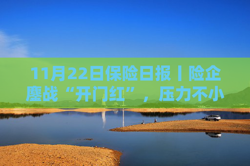 11月22日保险日报丨险企鏖战“开门红”，压力不小但不能不“战”！9家银行系险企前三季度实现净利润超168亿