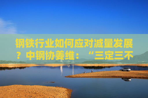 钢铁行业如何应对减量发展？中钢协姜维：“三定三不要”要坚持不懈