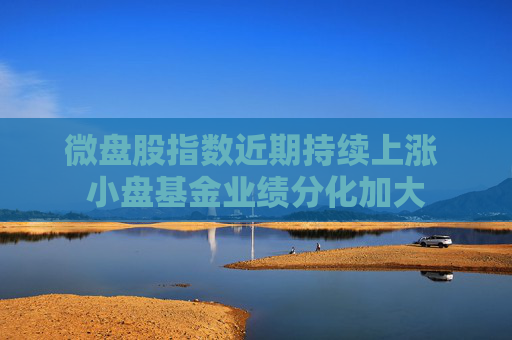 微盘股指数近期持续上涨 小盘基金业绩分化加大