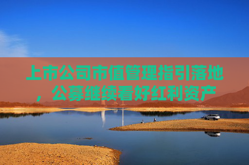 上市公司市值管理指引落地，公募继续看好红利资产