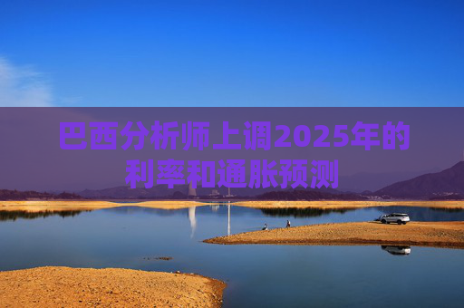 巴西分析师上调2025年的利率和通胀预测