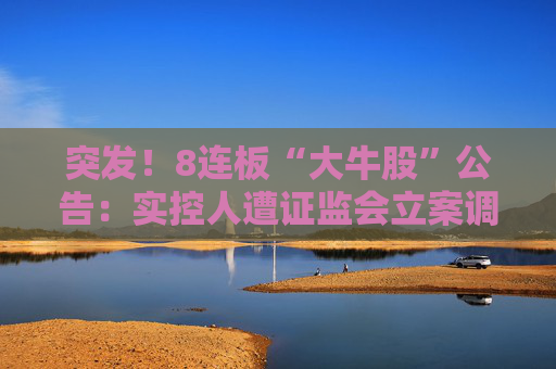 突发！8连板“大牛股”公告：实控人遭证监会立案调查！公司股票已停牌