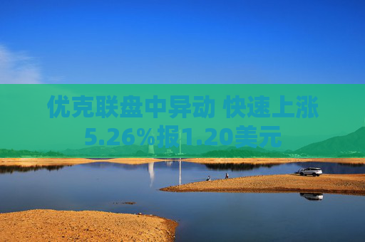 优克联盘中异动 快速上涨5.26%报1.20美元