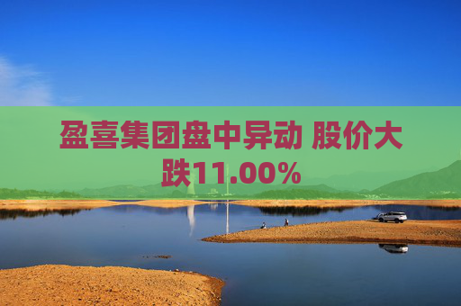盈喜集团盘中异动 股价大跌11.00%