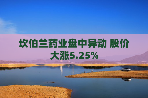 坎伯兰药业盘中异动 股价大涨5.25%