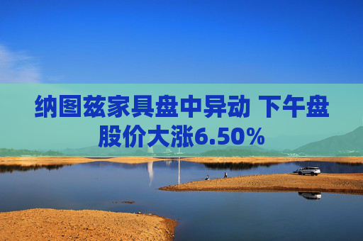 纳图兹家具盘中异动 下午盘股价大涨6.50%