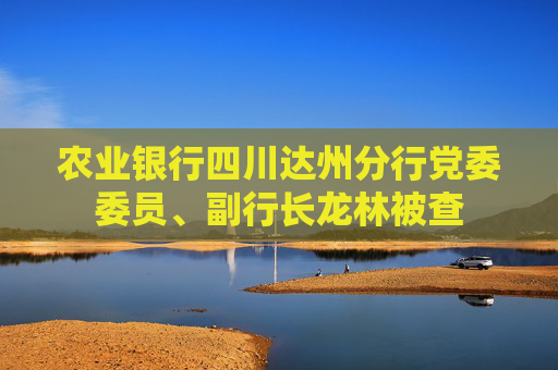 农业银行四川达州分行党委委员、副行长龙林被查