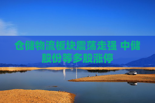 仓储物流板块震荡走强 中储股份等多股涨停