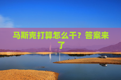 马斯克打算怎么干？答案来了