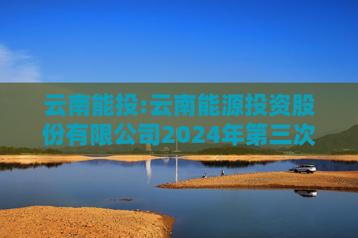 云南能投:云南能源投资股份有限公司2024年第三次临时股东会决议公告