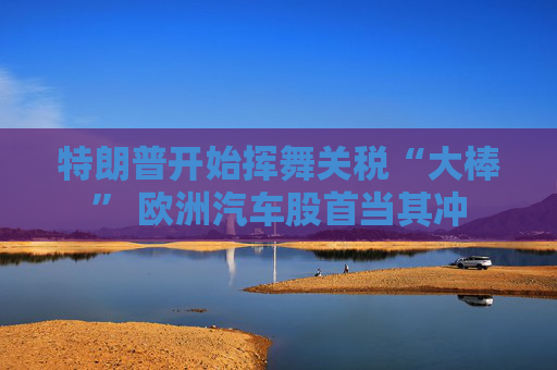 特朗普开始挥舞关税“大棒” 欧洲汽车股首当其冲