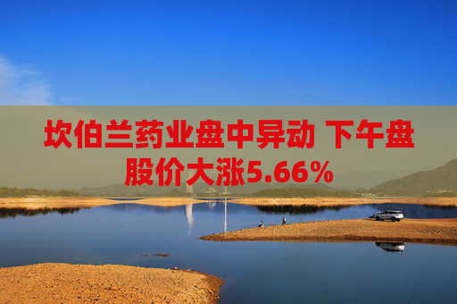 坎伯兰药业盘中异动 下午盘股价大涨5.66%