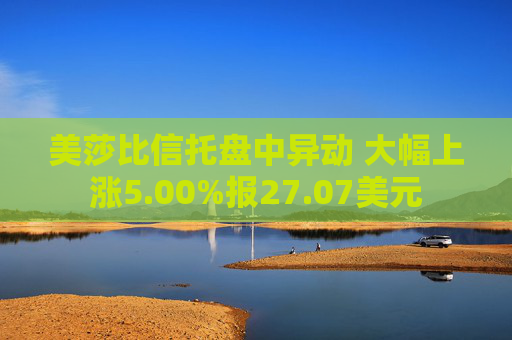 美莎比信托盘中异动 大幅上涨5.00%报27.07美元